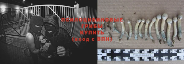 каннабис Медвежьегорск