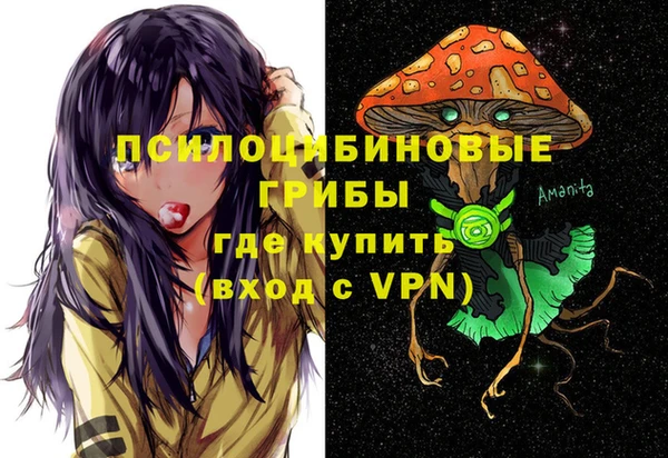 бутират Мегион