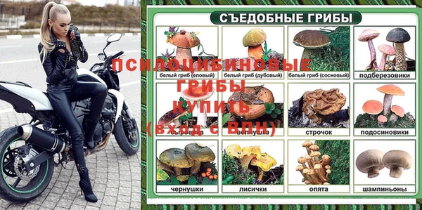 альфа пвп Медногорск
