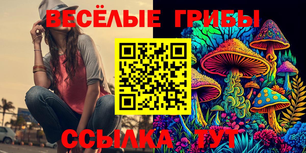 купить закладку  Вход с VPN  Надым  Галлюциногенные грибы Cubensis 