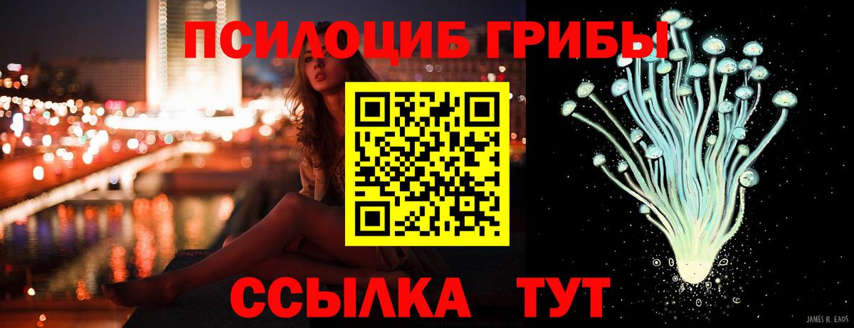 Галлюциногенные грибы Psilocybine cubensis Надым